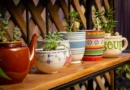 comment avoir de belles plantes en pots