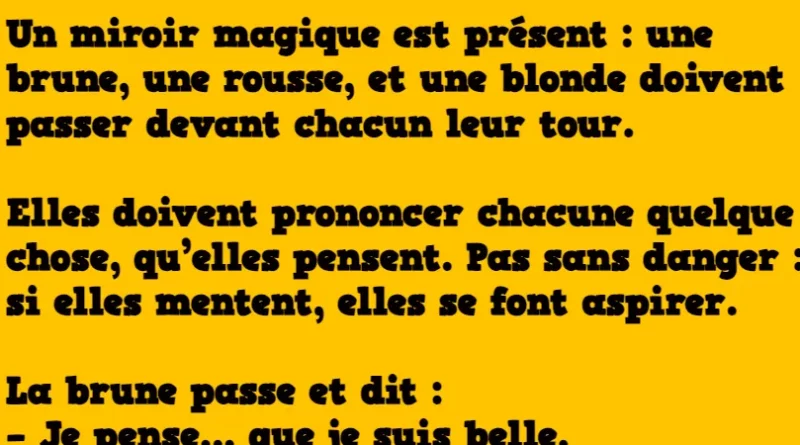 Blague : 3 femmes et un miroir magique !