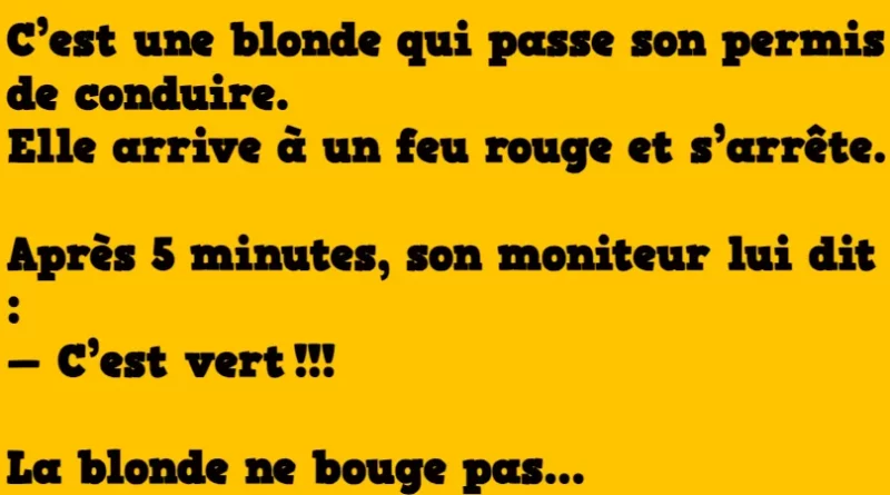 Blague : C’est une blonde qui passe son permis de conduire