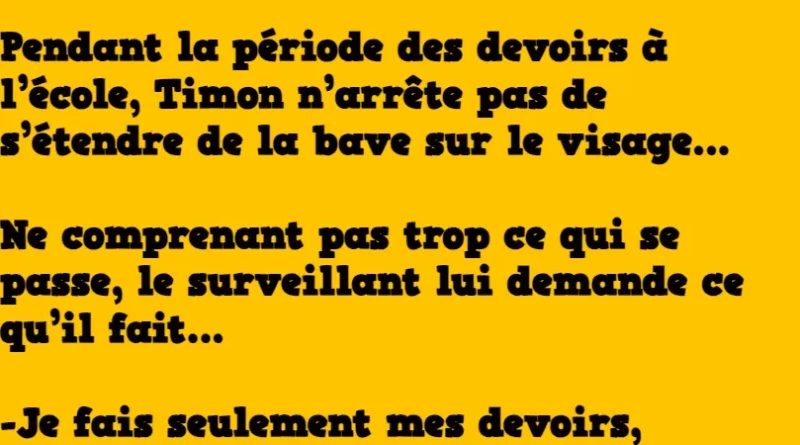 Blague c'est la période des devoirs et timon fait son malin (1)
