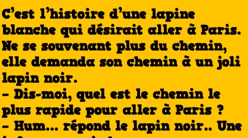 Blague petite lapine
