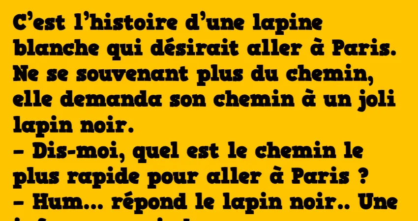 Petite lapine - Grands Mères