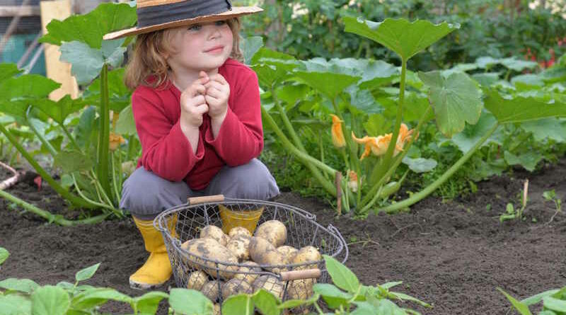 jardiner avec vos enfants c'est ludique