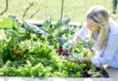 jardin écologique