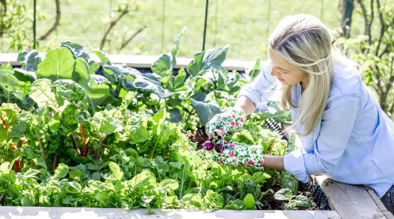 jardin écologique