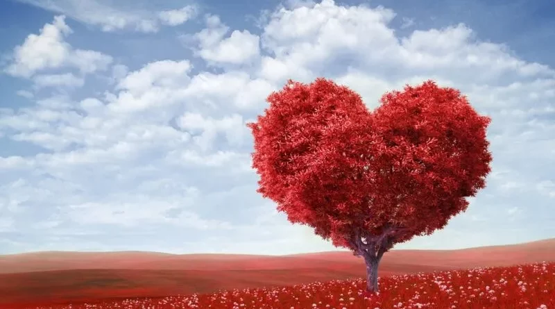 amour étape par étape