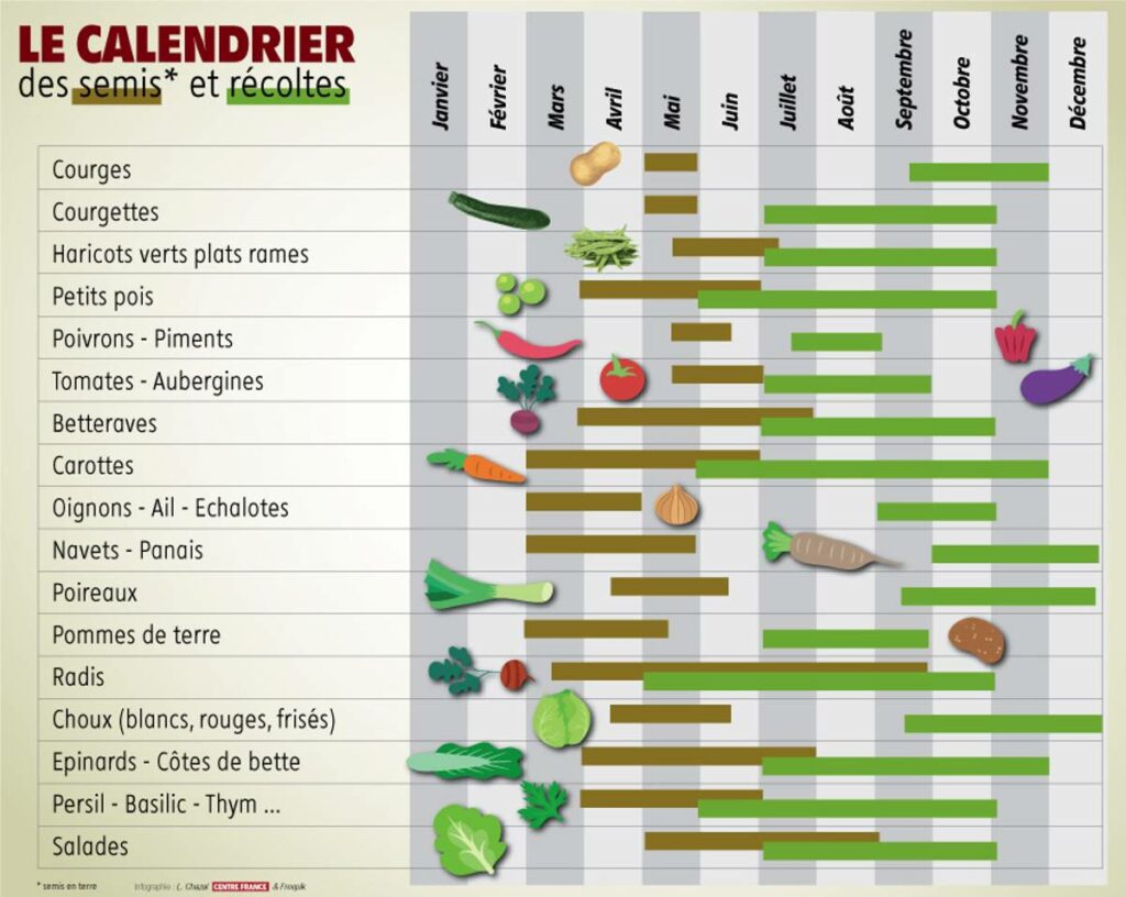  Calendrier du potager mois par mois 