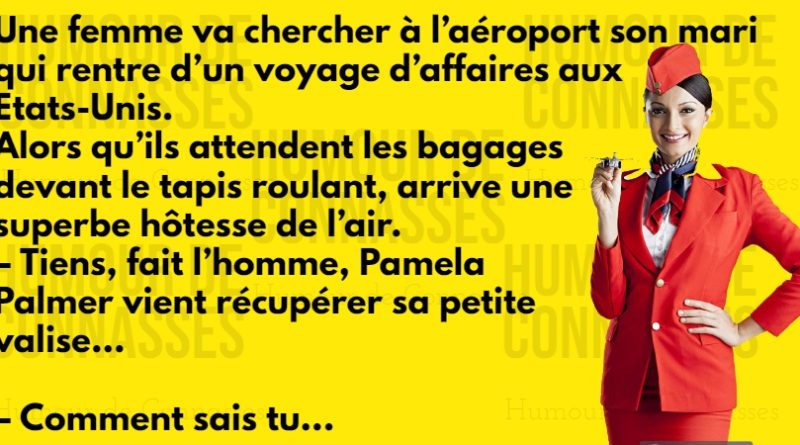 Blague : Voici Pamela Palmer, notre hôtesse !