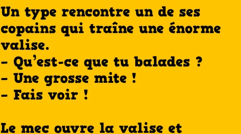 blague il se balade avec une grosse mite