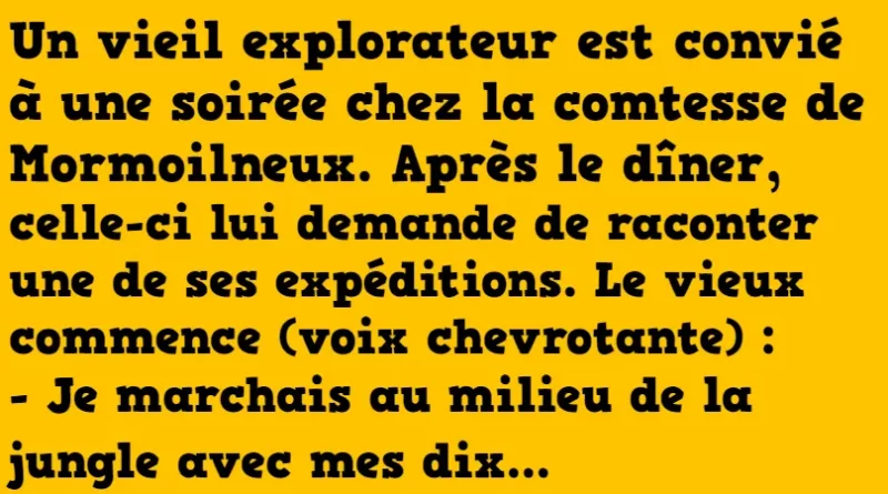 blague la chasse aux lions (1)