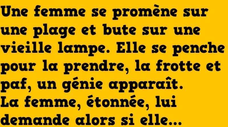 blague la dame et le génie