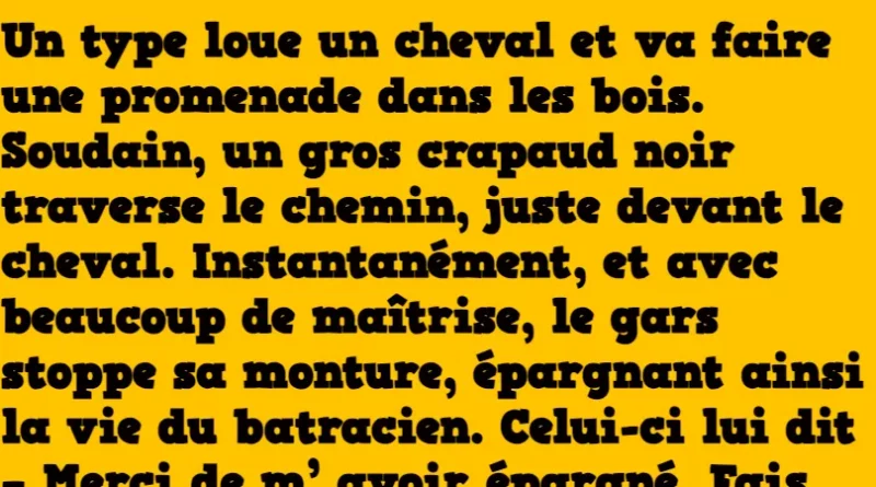 blague le crapaud noir