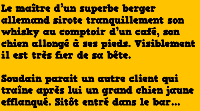 blague le feroce chien jaune