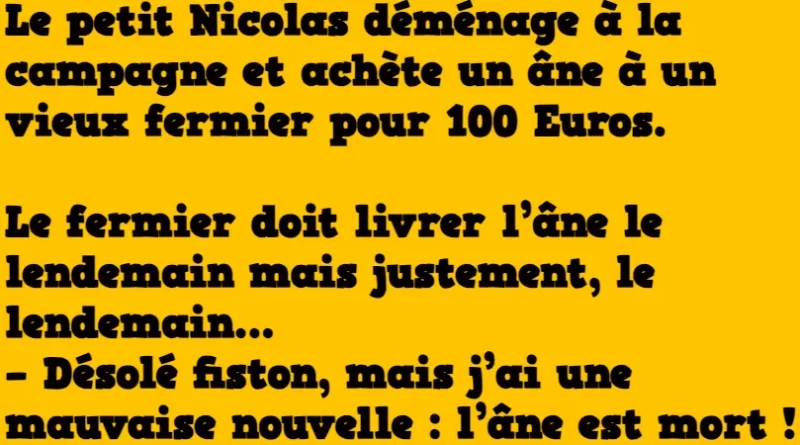 blague le petit Nicolas déménage à la campagne