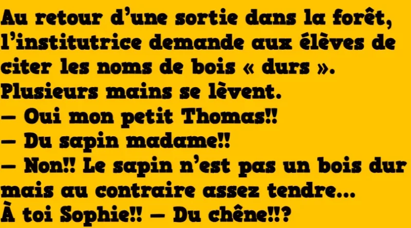 blague les bois durs
