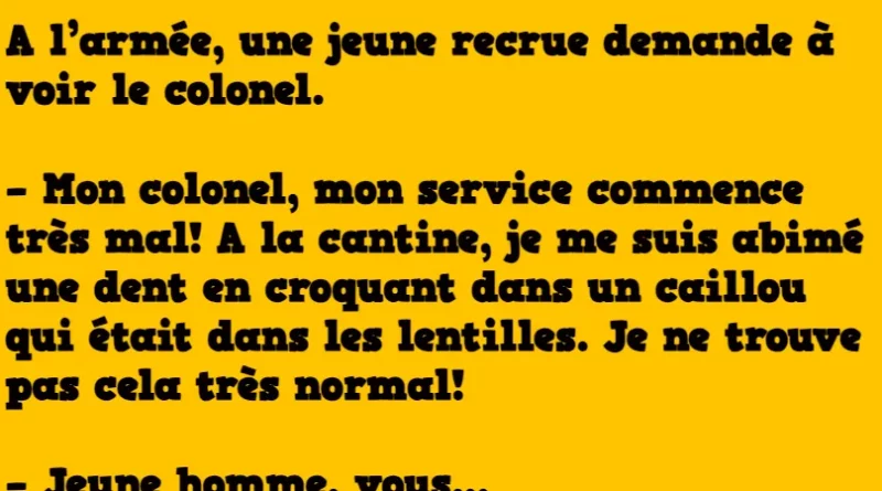 blague Une jeune recrue demande à voir le colonel