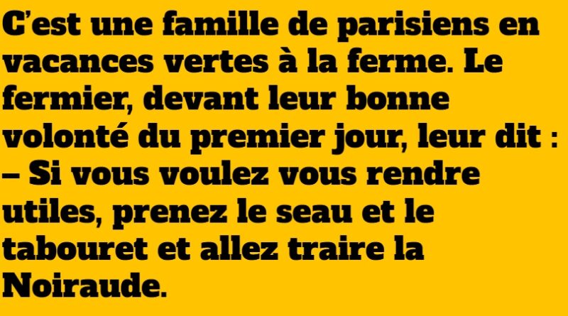 blague vacances vertes