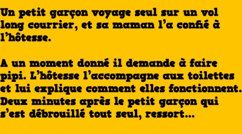 blague vol long courrier