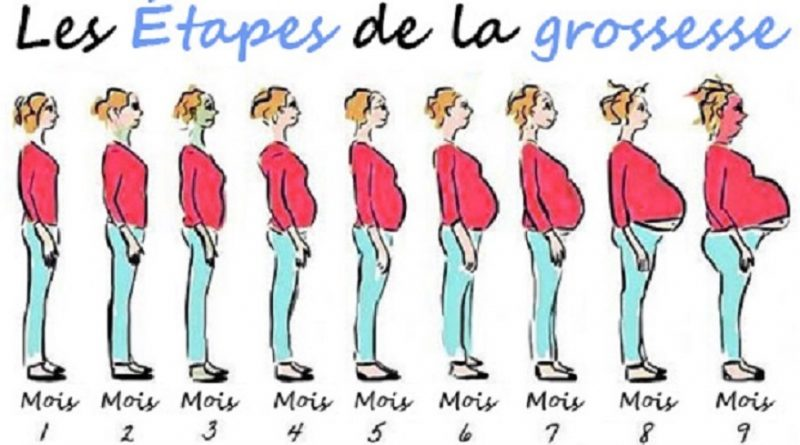 évolution grossesse mois par mois