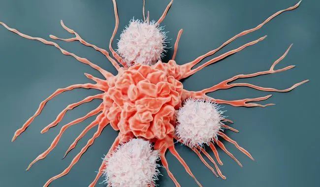 cancer et profil psycologique (1)