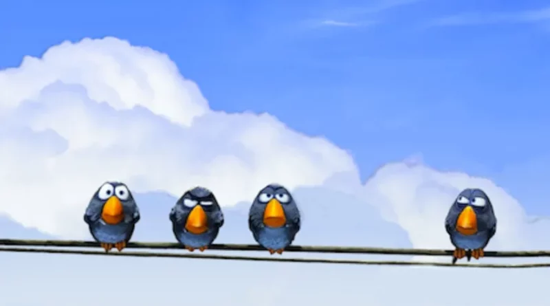 combien d'oiseaux sur les fils enigme