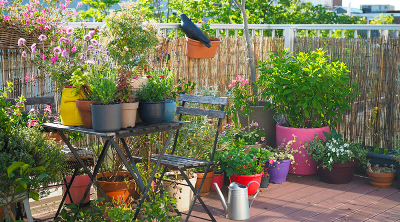 Jardiner en pots