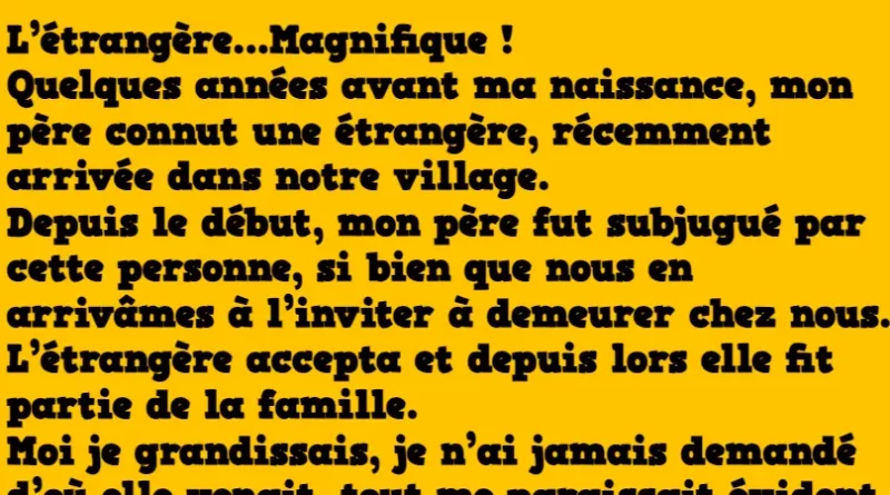 historie l'étrangère magnifique