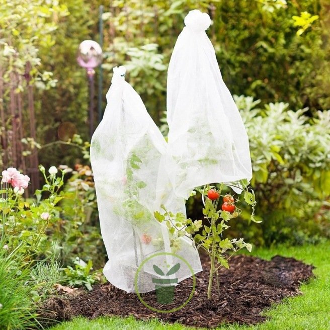  Jardinage pratique : La protection hivernale