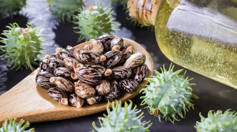 huile ricin utilisation beauté