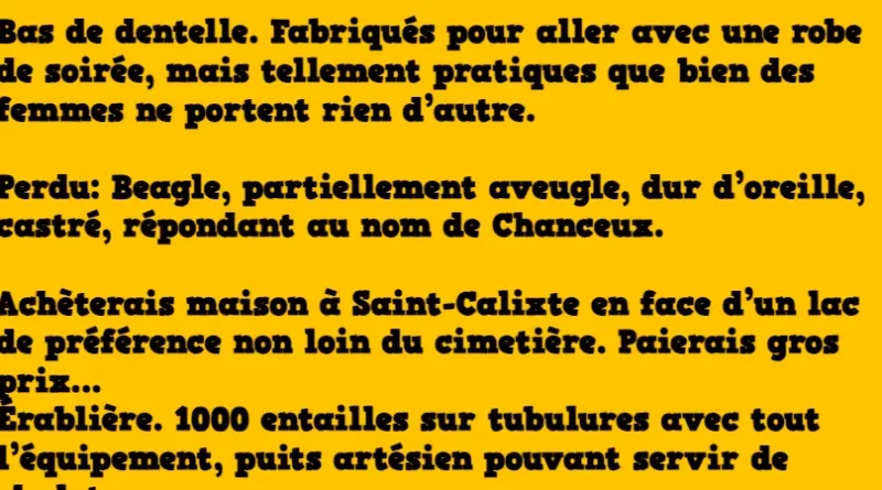 perles des petites annonces