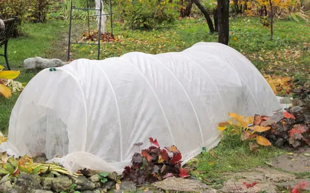 Jardinage pratique : La protection hivernale