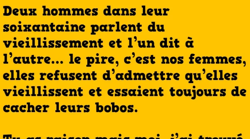Blague DES LASAGNES….DES LASAGNES !