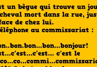 Blague histoire de begue