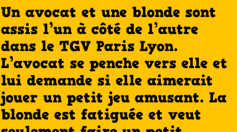 Blague la blonde et l'avocat dans le tgv