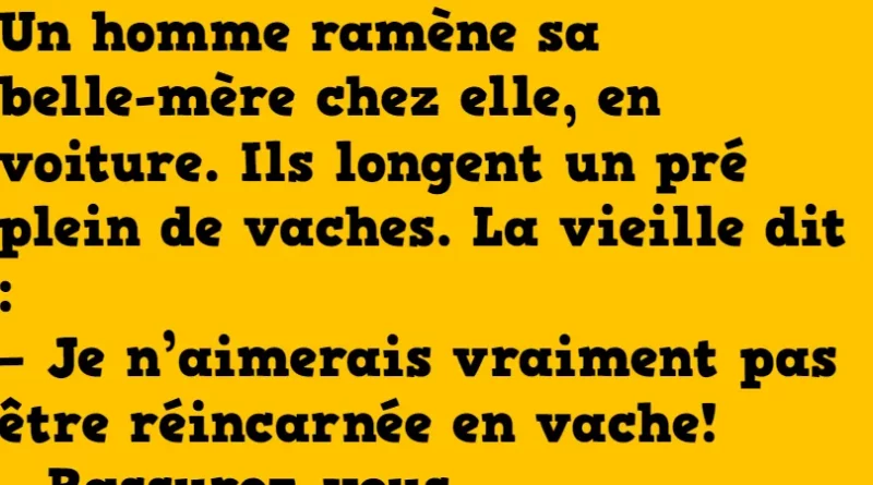 Blague la réincarnation