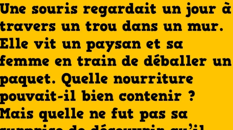 Blague la trappe à souris