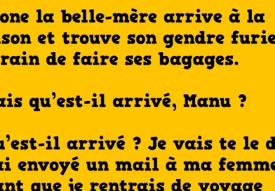 Blague simone la belle mere