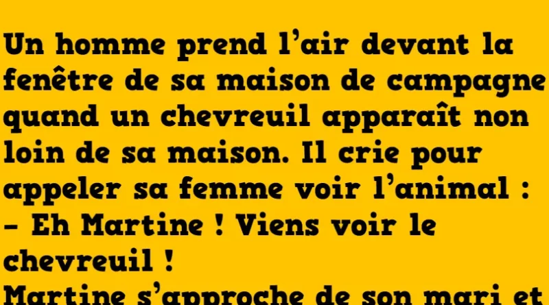 Blague un chevreuil à la fenêtre