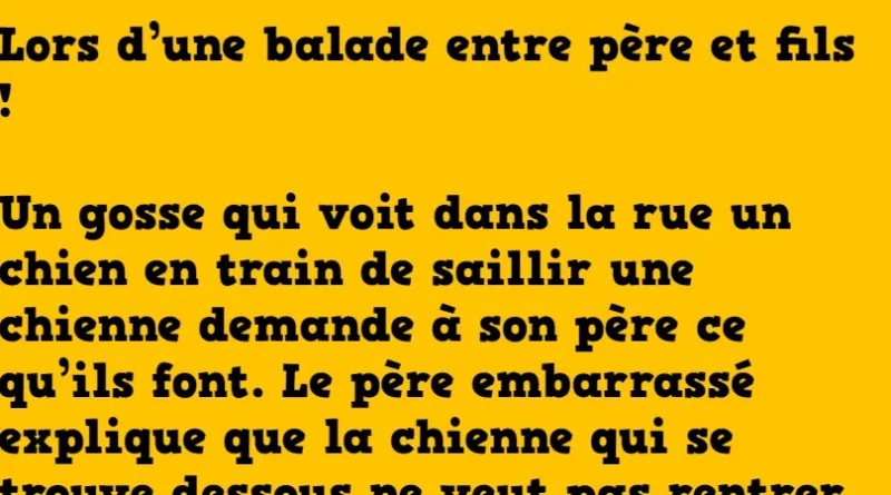 Blague un chien en train de saillir une chienne