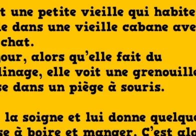 Blague une vieille dame habite seule dans une cabane