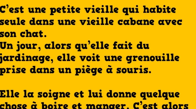 Blague une vieille dame habite seule dans une cabane