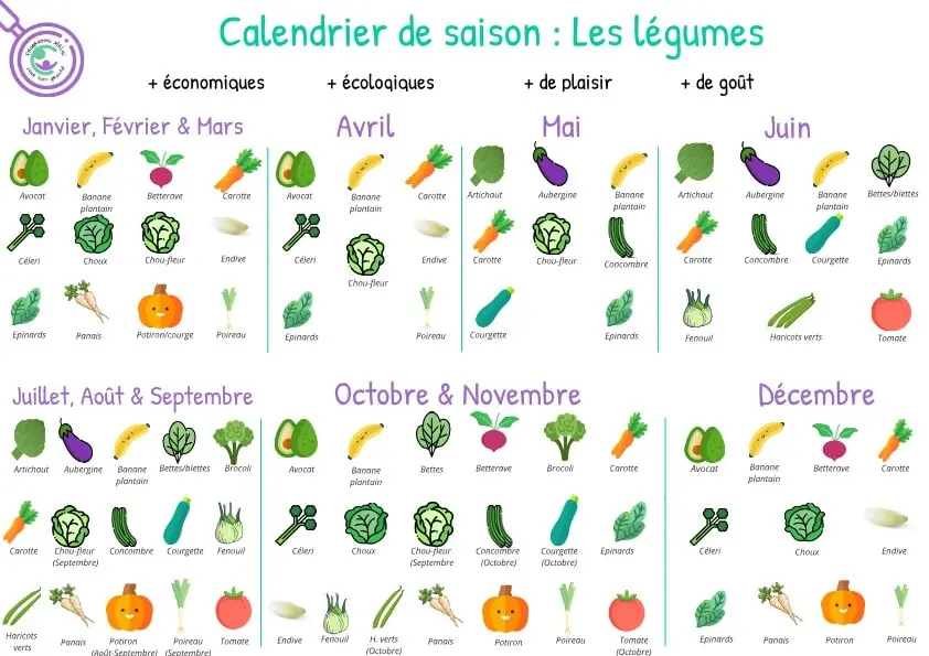 Calendrier-des-legumes-de-saison