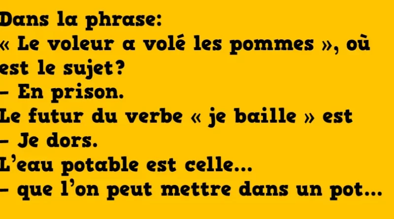 Des perles de l'école primaire