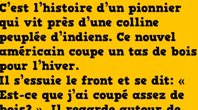 Histoire le pionnier