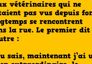 blague Les vétérinaires et leurs animaux de compagnie