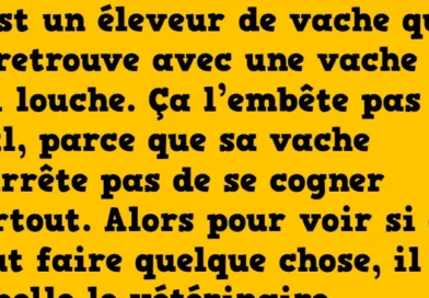 blague la vache qui louche