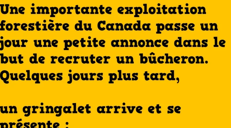 blague le bucheron gringalet (1)