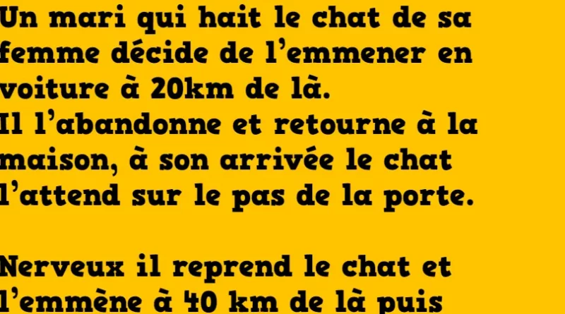 blague le chat