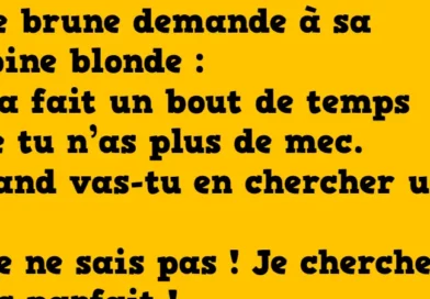 blague le mec parfait