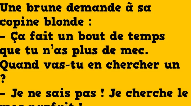 blague le mec parfait
